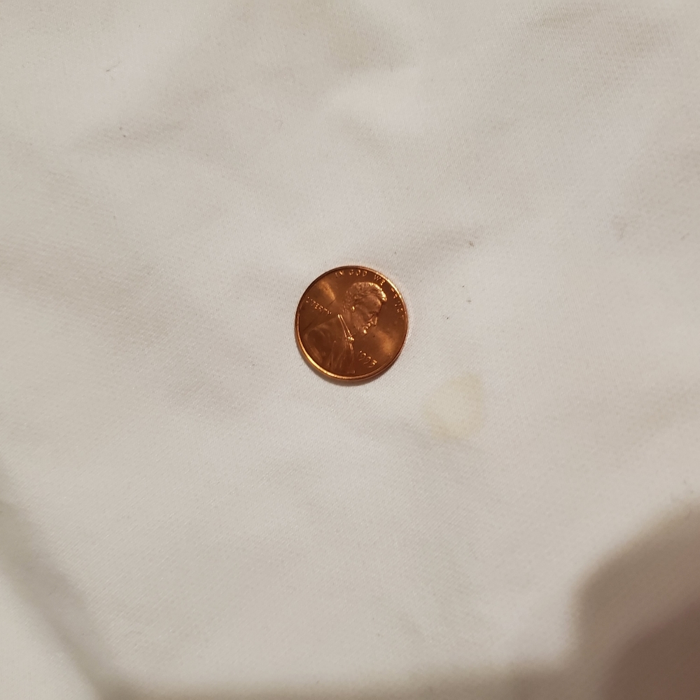 Allerease bedbug and allergy protector FULL - Picture 8 of 8